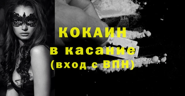 индика Горно-Алтайск