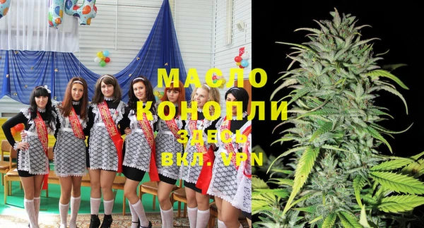 индика Горно-Алтайск