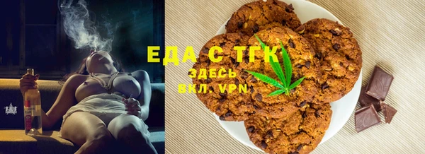 индика Горно-Алтайск
