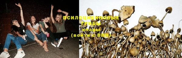 индика Горно-Алтайск