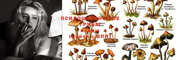 дурь Горнозаводск