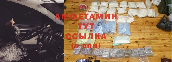 индика Горно-Алтайск