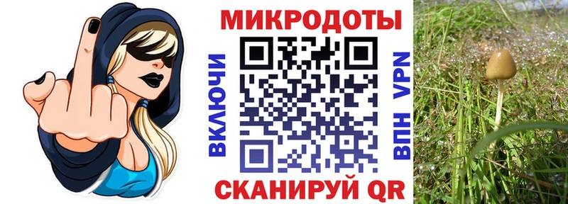 Галлюциногенные грибы мицелий Находка