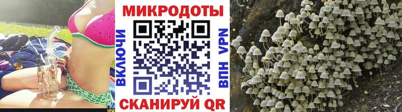 Галлюциногенные грибы прущие грибы  Находка 